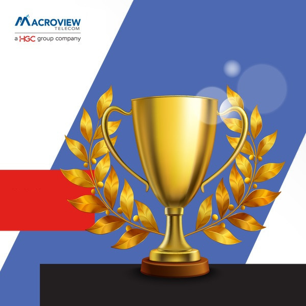 Macroview Partner Awards Artwork s